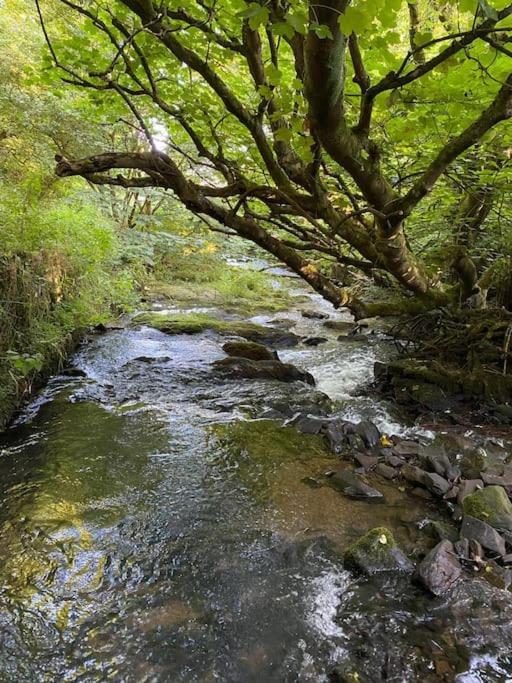 Banc Cottage Moylgrove Esterno foto
