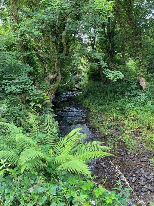 Banc Cottage Moylgrove Esterno foto